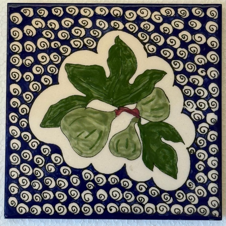 Figs_15x15